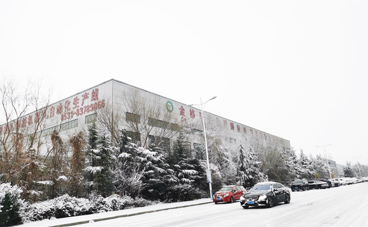 山东金格瑞颗粒机厂家笼罩在雪花中.jpg